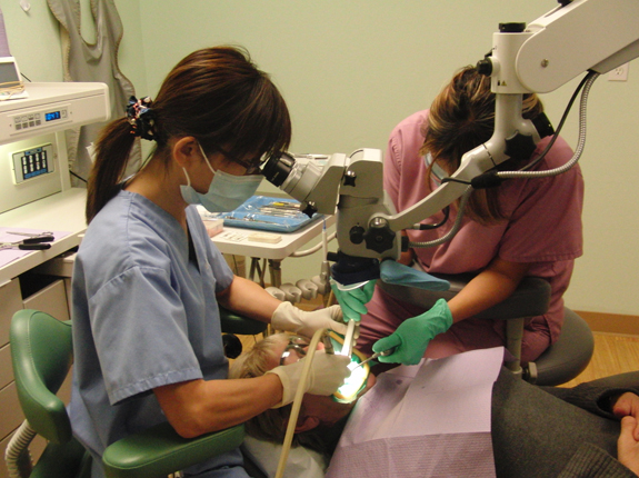 Using an operating microscope in the Endodontist office of Dr. Irene Yeh Pinole CA