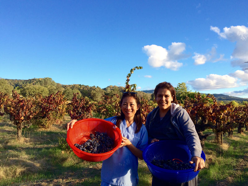 Endodontist Evelyn Yeh volunteering for charitable event
